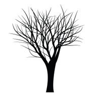 Trees with dead branch N47