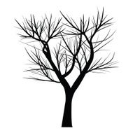 Trees with dead branch N48