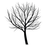 Trees with dead branch N49