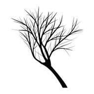 Trees with dead branch N50