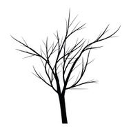 Trees with dead branch N51