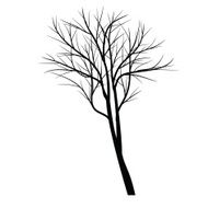Trees with dead branch N52