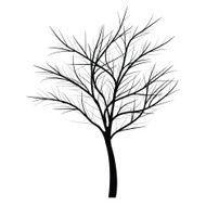 Trees with dead branch N53