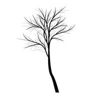 Trees with dead branch N54