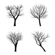 Trees with dead branch N55