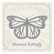 Vintage Hand Drawn Butterfly