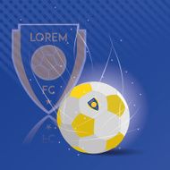 Soccer N173