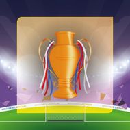 Soccer N217