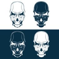 set of skulls vector design template