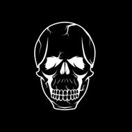 skull vector design template