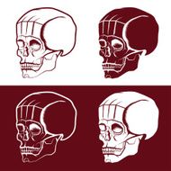 set of skulls vector design template N15