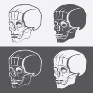 set of skulls vector design template N16