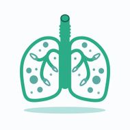 Healthy lungs vector illustration