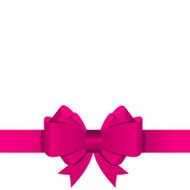 Gift Bow with Ribbon Vector Illustration N2