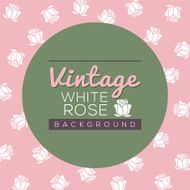 Vintage White Roses Background