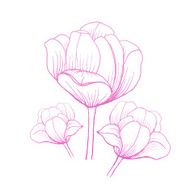 Abstract Elegance pattern with floral background