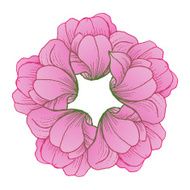Colorful floral collection with leaves and flowers N4