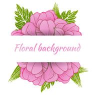 Colorful floral collection with leaves and flowers N5