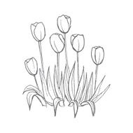 tulips pattern on white seamless background N4