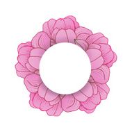 Colorful floral collection with leaves and flowers N7