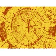 Wooden texture background