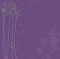 Purple background with white flowers