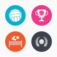 Volleyball and net icons Winner award cup N4