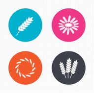 Agricultural icons Gluten free symbols N3