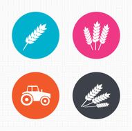 Agricultural icons Wheat corn or Gluten free N7