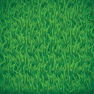 green grass background N2