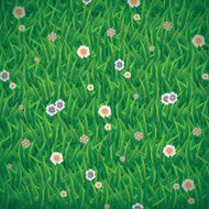 green grass background N3