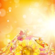 Autumn background with colorful leaves EPS 10