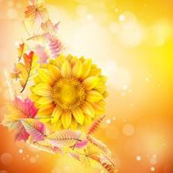 Autumn background with colorful leaves EPS 10 N2