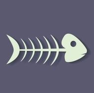Fish Skeleton N20