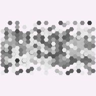 Geometric background abstract hexagonal pattern vector N2