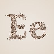 Decorated letter e
