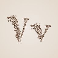 Decorated letter v
