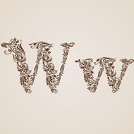 Decorated letter w