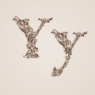 Decorated letter y