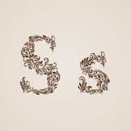 Decorated letter s