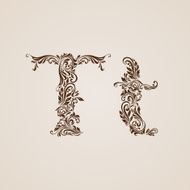 Decorated letter t N2