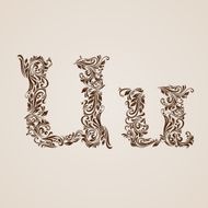 Decorated letter u N2