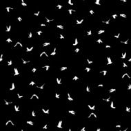 Doves and pigeons seamless pattern black background peace wedding design
