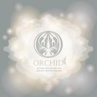 Calligraphic frame on magical lights background N3