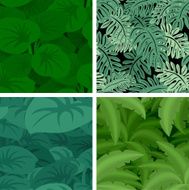 vector set of amazon jungle seamless pattern