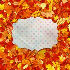 Greeting card on with copy space EPS 10 N8