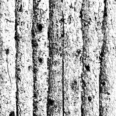Wooden texture background Realistic plank Vector illustration N9