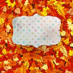 Greeting card on with copy space EPS 10 N12