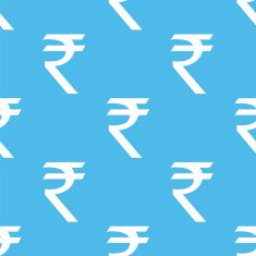 Rupee seamless pattern N2