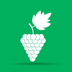 Grapes Icon N7
